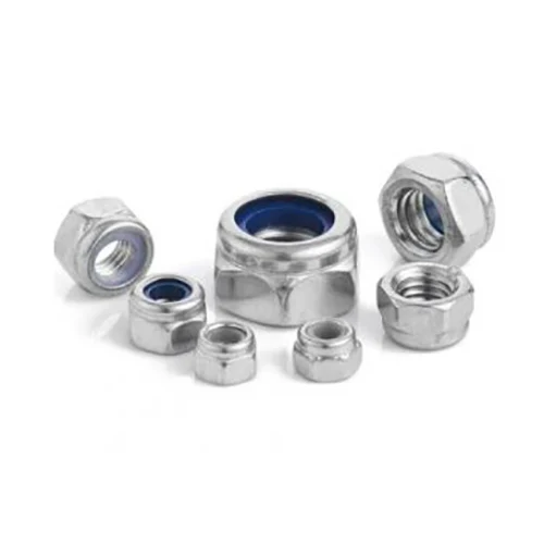 SS304 Nylon Insert Noot